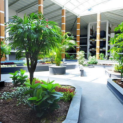 Artificial plant in shopping malls