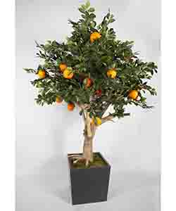 ORANGE TREE 160 CM POTTED