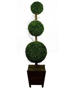 ARTIFICIAL BOXWOOD TOP 180 CM POTTED