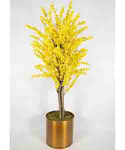 BAHARDALI YELLOW 180 CM POTTED