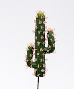 MINI MEXICO LONG CACTUS 30CM