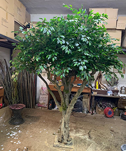 ARTIFICIAL FICUS BIG TREE H:270CM- DIAMETER:190CM