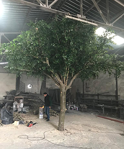 ARTIFICIAL FICUS BIG TREE H:500CM- DIAMETER:500CM