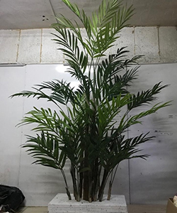 ARTIFICIAL ARECA H:300CM