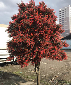 ARTIFICIAL OUTDOOR THREAD TREE H:300CM- DIAMETER:170CM