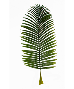 PLASTIC ECO PALM LEAF