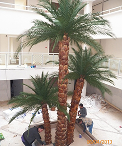 TRIPLE SHOCKED PALM 400CM