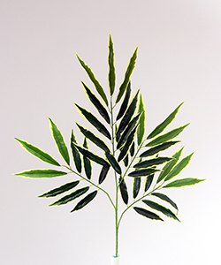 MANGO LEAF (GREEN WHITE)