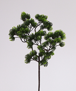 PINE BRANCH