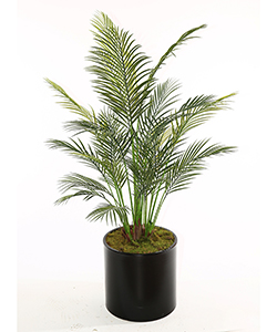 150CM PALM NO POT