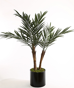 180CM UV KENTIA PALM