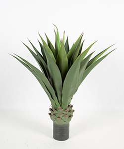 110CM AGAVE GREEN