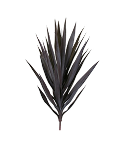 90 CM YUCCA BUSH BURGUNDY M