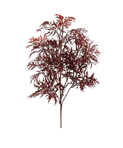 50 CM ARALIA SPRAY BURGUNDY