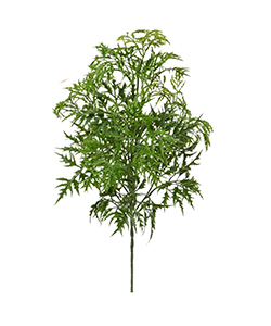 50 CM ARALIA SPRAY GREEN BURGUNDY