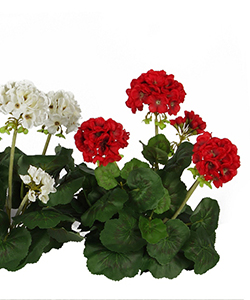 40 CM GERANIUM BUSH RED