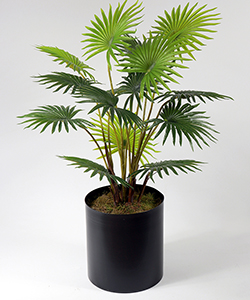 95CM FAN PALM TREE