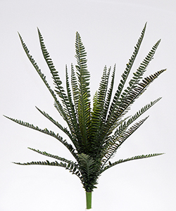 66CM UV PLASTIC BOSTON FERN BUSH