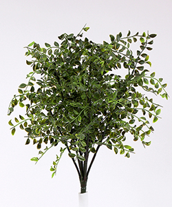 45CM UV GLEDITSIA BUSH