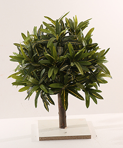 40CM DIAMETER TOP FORM PLANT