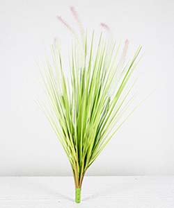 80CM BRISTLE GRASS