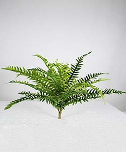 60 CM FERN BUSH