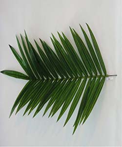 165CM UV RESISTANT PALM LEAF