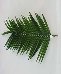 125CM UV RESISTANT PALM LEAF