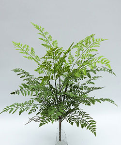 71CM FERN BUNCH*20LVS