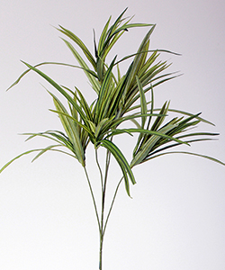 80CM SPIDER PLANT