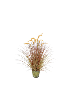 88 CM DOGTAIL GRASS W/ METAL POPPED