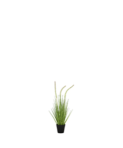 56 CM DOGTAIL GRASS W/ METAL POPPED