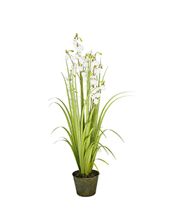 152 CM LANTERN FLOWER GRASS W/ METAL POTENTED