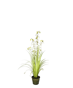 120 CM LANTERN FLOWER GRASS W/ METAL POTENTED