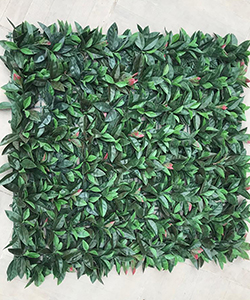 AMERICAN Ivy VERTICAL GARDEN 100X100CM