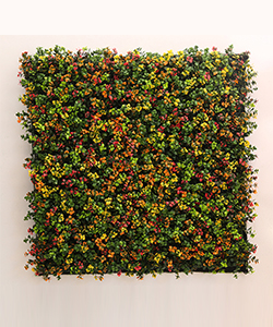 COLOR VERTICAL GARDEN 100X100CM(OUTDOOR)