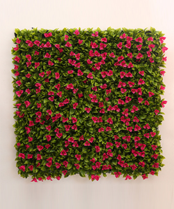 BEGONVIL VERTICAL GARDEN 100X100CM (OUTDOOR)