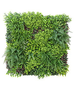 Ready Made Vertical Garden Panel 100x100cm(Outdoor UV Protection)