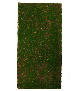 50X100 MOSS PLATE SAND