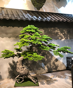 BONSAI 200CM