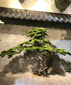 BONSAI 180CM