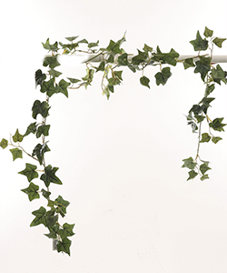 180CM IVY-HEDERA GARLAND