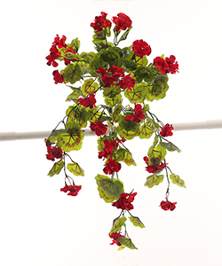 Sardinia Ivy RED - 70CM