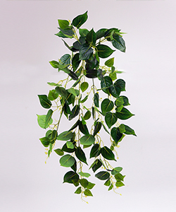 DEMET POTHOS Ivy 90CM