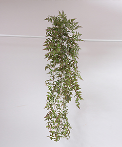 200CM MAXI Ivy