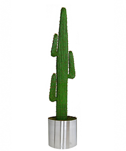 160CM MEXICO CACTUS