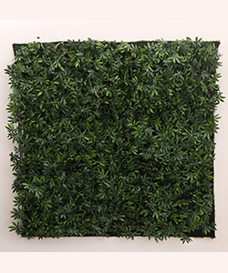 GREEN MAPLE VERTICAL GARDEN 100X100CM (OUTDOOR)