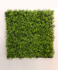 YONCA ARRANGEMENT VERTICAL GARDEN 100X100CM (OUTDOOR)