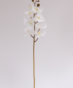 SINGLE BRANCH ORCHID 100 CM