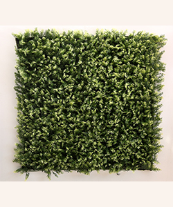 MAZI VERTICAL GARDEN 100X100CM (OUTDOOR)